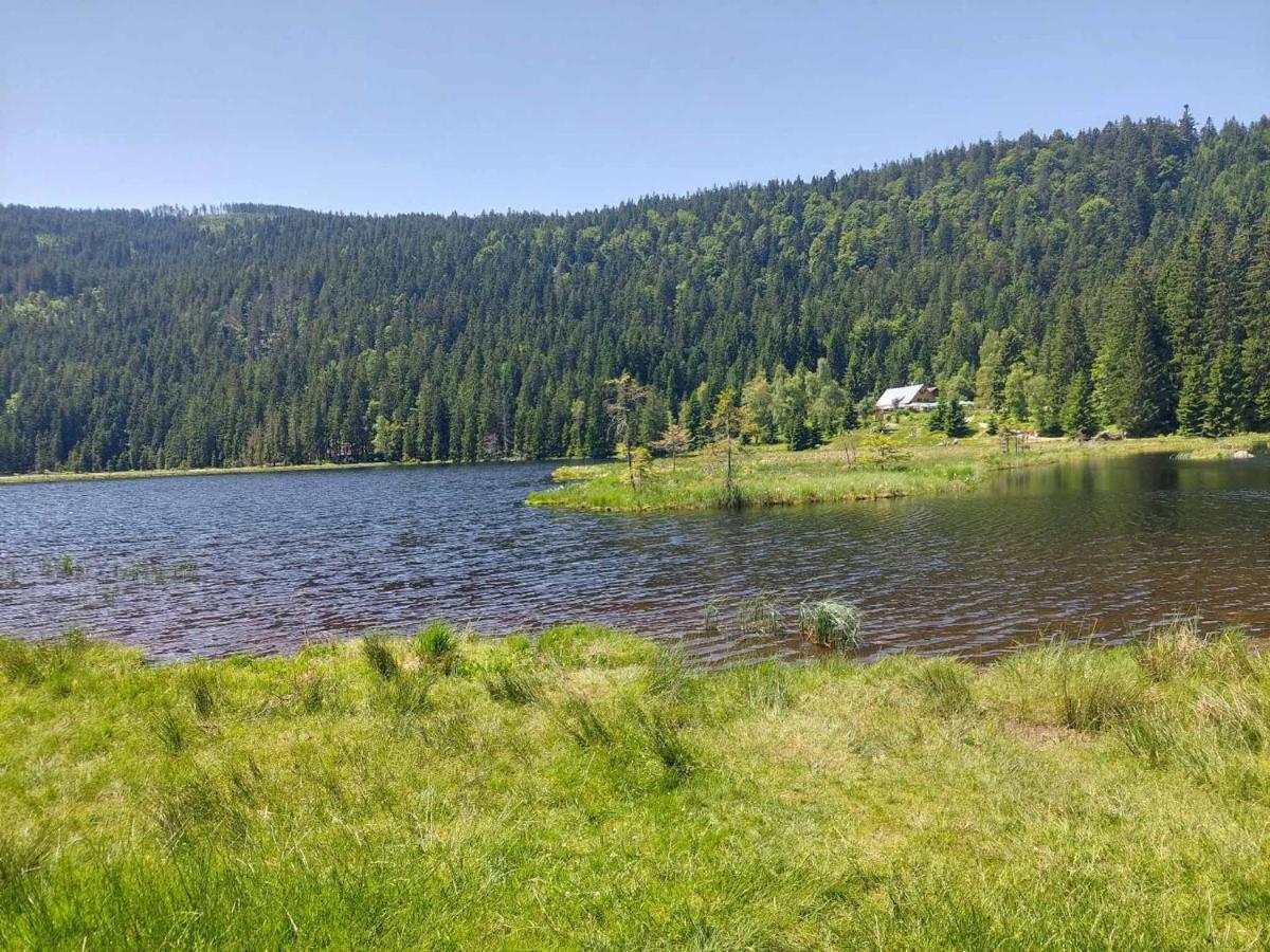 Eichhorn 2*
