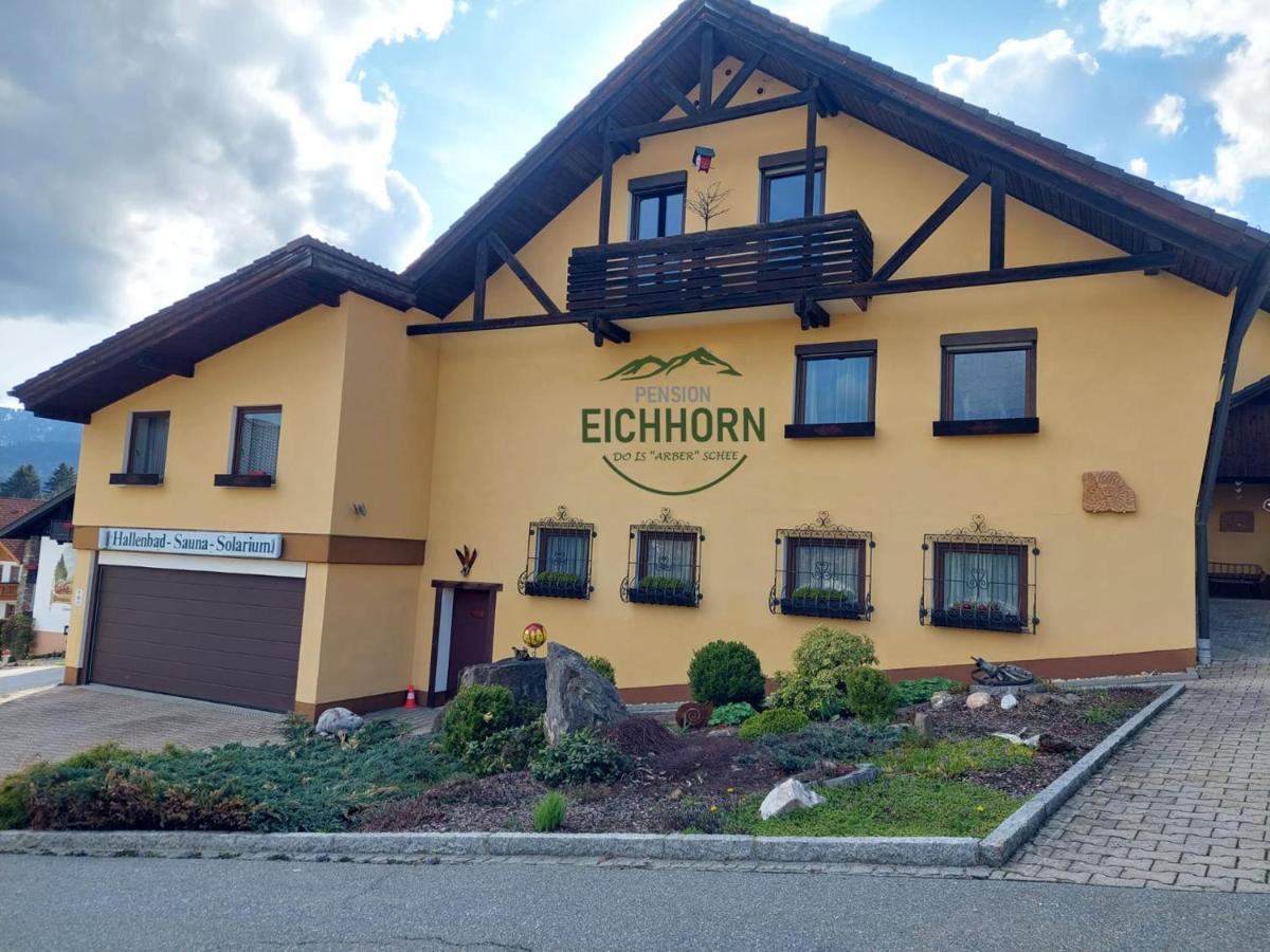 Eichhorn Bayerisch Eisenstein